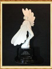 Most Effective Media Award